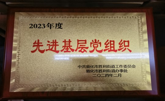 10.物业总公司敦化项目党支部被授予“2023年度先进下层党组织”荣誉称呼_副本.jpg